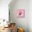 Cupcake Delight-Janet Kruskamp-Stretched Canvas displayed on a wall