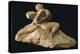 Cupid and Psyche-Antonio Canova-Premier Image Canvas