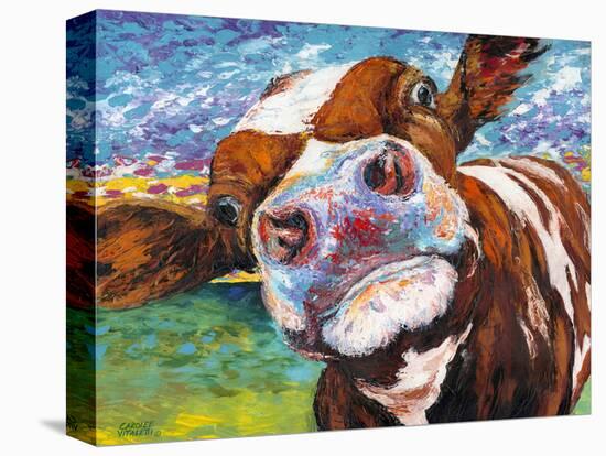 Curious Cow I-Carolee Vitaletti-Stretched Canvas