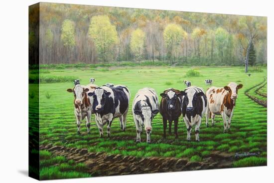 Curious Cows-Bruce Dumas-Premier Image Canvas