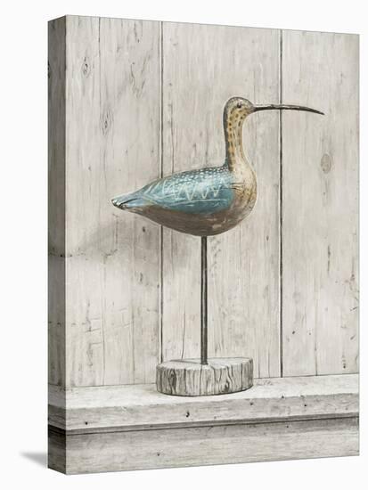 Curlew-Arnie Fisk-Stretched Canvas