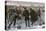 Curling Match on a Frozen Lake in Canada, 1880s-null-Premier Image Canvas