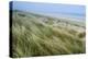 Curracloe Beach, County Wexford, Leinster, Republic of Ireland (Eire), Europe-Nico Tondini-Premier Image Canvas