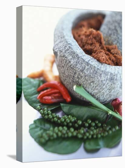 Curry Paste in a Mortar and Assorted Spices-Peter Medilek-Premier Image Canvas