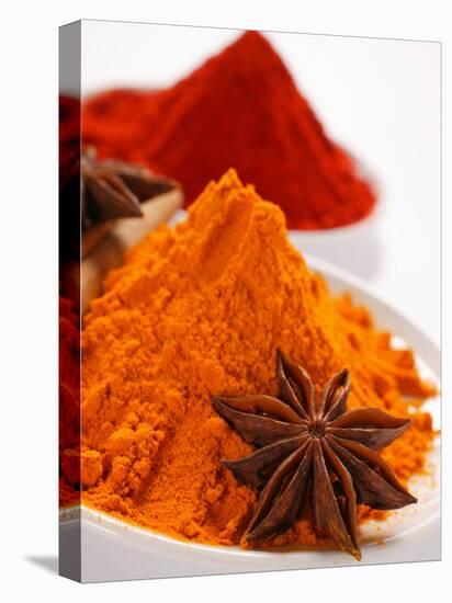 Curry Powder and Paprika, Star Anise-null-Premier Image Canvas