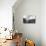 Curved Line-Olavo Azevedo-Premier Image Canvas displayed on a wall