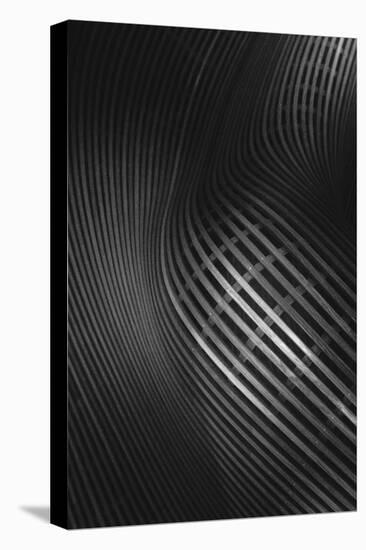 Curved Lines-Olavo Azevedo-Premier Image Canvas