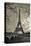Curves of Eiffel-Sabri Irmak-Stretched Canvas