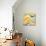 Curvilinear Bright I-Lanie Loreth-Stretched Canvas displayed on a wall