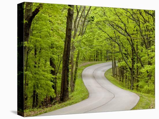 Curvy Roadway under Spring Green Canopy at Brown County State Park in Indiana, Usa-Chuck Haney-Premier Image Canvas
