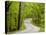 Curvy Roadway under Spring Green Canopy at Brown County State Park in Indiana, Usa-Chuck Haney-Premier Image Canvas