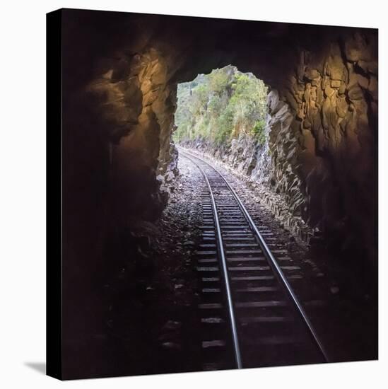 Cusco Region, Peru. Machu Pichu-Cusco Railway. A shot from a train exiting a tunnel-Janet Muir-Premier Image Canvas