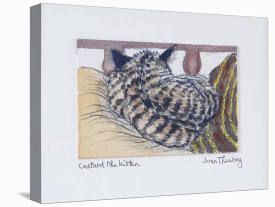 Custard the Kitten, 2005-Joan Thewsey-Premier Image Canvas