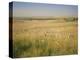 Custer's Last Stand Battlefield, Custer's Grave Site Marked by Dark Shield on Stone, Montana, USA-Geoff Renner-Premier Image Canvas