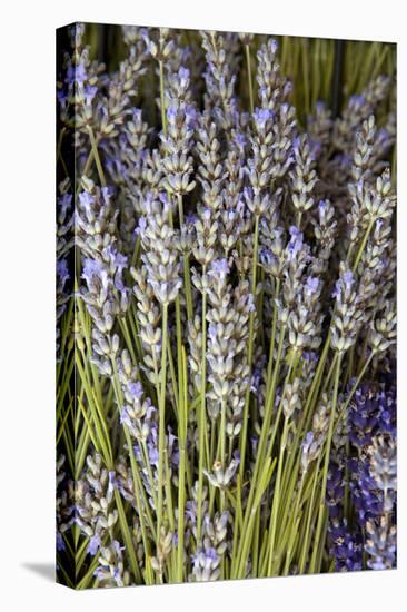 Cut Lavender I-Karyn Millet-Premier Image Canvas