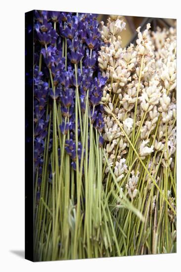 Cut Lavender II-Karyn Millet-Premier Image Canvas