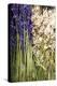 Cut Lavender II-Karyn Millet-Premier Image Canvas