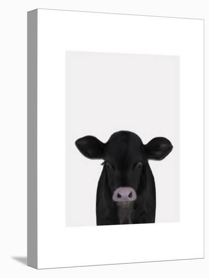 Cute Calf 1-Leah Straatsma-Stretched Canvas