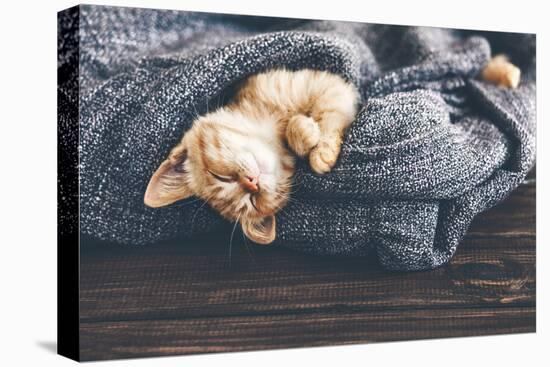 Cute Little Ginger Kitten is Sleeping in Soft Blanket on Wooden Floor-Alena Ozerova-Premier Image Canvas
