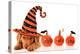 Cute Puppy Wearing a Halloween Witch Hat-Hannamariah-Premier Image Canvas