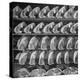 Cuts of Beef on Shelves at Meat Processing and Packing Plant-Alfred Eisenstaedt-Premier Image Canvas