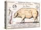 Cuts of Pork, illustration from a French Domestic Science Manual by H. de Puytorac, 19th century-null-Premier Image Canvas