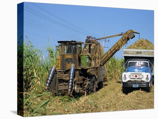 Cutting Sugar by Cuban Made Machine, on a Plantation, South Coast Plain of Havana Province, Cuba-Waltham Tony-Premier Image Canvas