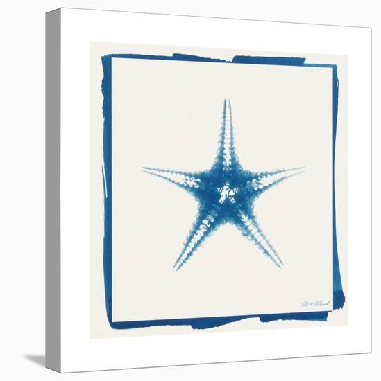 Cyan Starfish-Christine Caldwell-Stretched Canvas