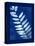 Cyanotype Fern-Dan Zamudio-Stretched Canvas