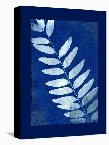 Cyanotype Fern-Dan Zamudio-Stretched Canvas