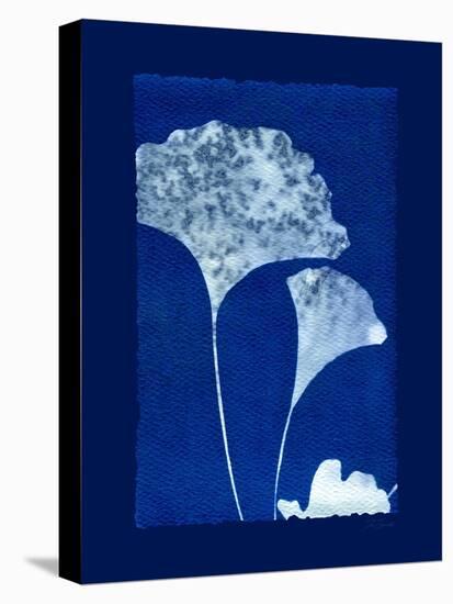 Cyanotype Ginko-Dan Zamudio-Stretched Canvas