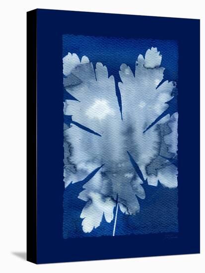 Cyanotype Leaf-Dan Zamudio-Stretched Canvas