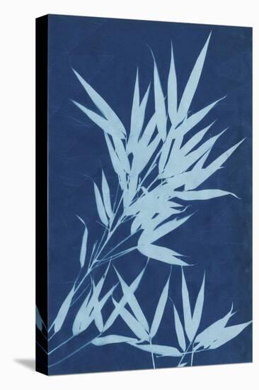 Cyanotype No.1-Renee W. Stramel-Stretched Canvas