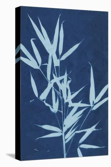 Cyanotype No.2-Renee W. Stramel-Stretched Canvas