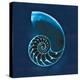 Cyanotype Sea II-Sue Schlabach-Stretched Canvas