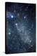 Cygnus Constellation-John Sanford-Premier Image Canvas