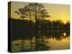 Cypress at sunrise, Otter Slough Wildlife Area, Stoddard County, Missouri, USA-Charles Gurche-Premier Image Canvas