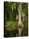 Cypress Reflected in Bayou Along Highway 61 on Stormy Summer Afternoon, New Orleans, Louisiana, Usa-Paul Souders-Premier Image Canvas