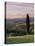 Cypress Tree and Countryside Near Val D'Asso, Tuscany, Italy, Europe-Patrick Dieudonne-Premier Image Canvas