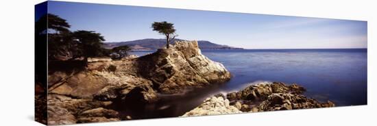 Cypress Tree at the Coast, the Lone Cypress, 17 Mile Drive, Carmel, California, USA-null-Premier Image Canvas