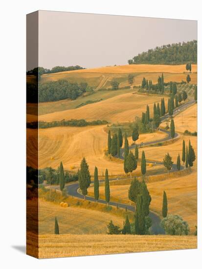 Cypress Trees Along Rural Road Near Pienza, Val D'Orica, Siena Province, Tuscany, Italy, Europe-Sergio Pitamitz-Premier Image Canvas