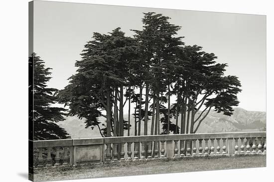 Cypress Trees and Balusters-Christian Peacock-Stretched Canvas