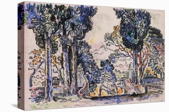 Cypresses in Sainte-Anne (Sainttrope)-Paul Signac-Premier Image Canvas