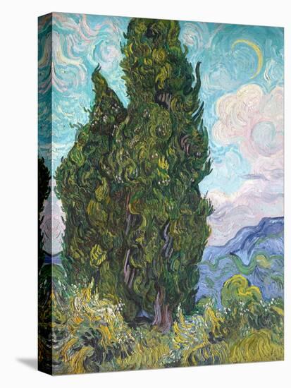 Cypresses-Vincent van Gogh-Premier Image Canvas