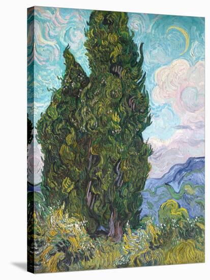 Cypresses-Vincent van Gogh-Premier Image Canvas