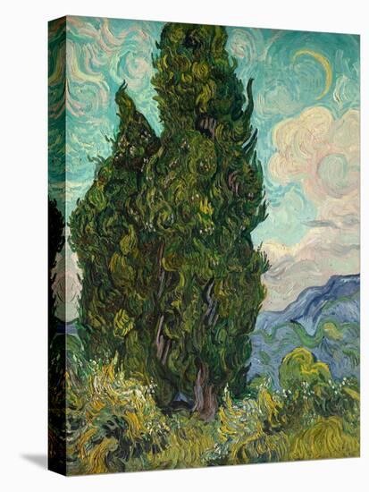 Cypresses-Vincent van Gogh-Premier Image Canvas