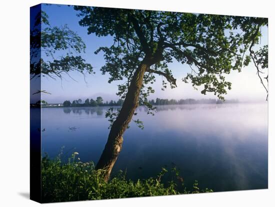 Czech Republic, Fishponds and Wetlands, Trebon-Paul Harris-Premier Image Canvas