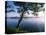 Czech Republic, Fishponds and Wetlands, Trebon-Paul Harris-Premier Image Canvas