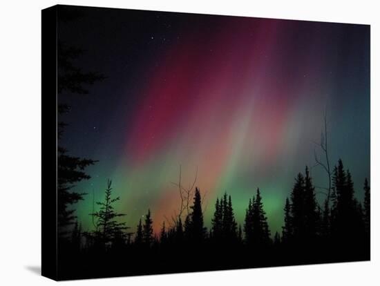 D. Aurora Borealis Alaska Red Skies Northern Lights Copper Center Alaska-pinky-Premier Image Canvas