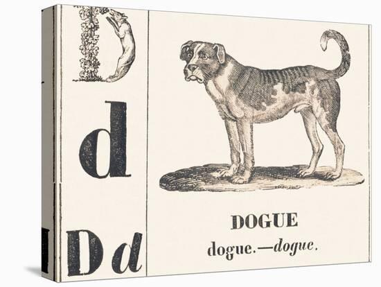 D for Dogue, 1850 (Engraving)-Louis Simon (1810-1870) Lassalle-Premier Image Canvas